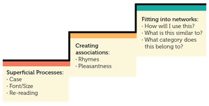 Depth of Processing and Memory