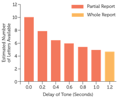 STM Capacity Bar Graph