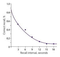STM Decay Curve