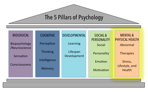The 5 Pillars of Psychology highlighting Mental and Physical Health domain