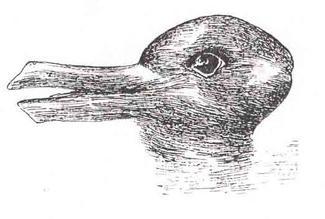 Ambiguous duck-rabbit image illustrating perception