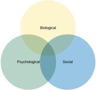 Biopsychosocial Model Venn Diagram