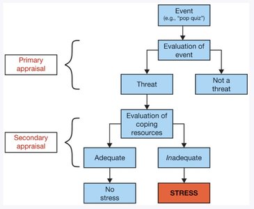 Cognitive appraisal flowchart