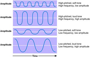 Waveforms showing variations in amplitude and frequency for different sound qualities