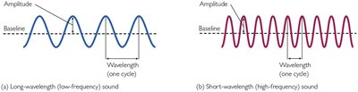 Sound Waves: Amplitude and Frequency