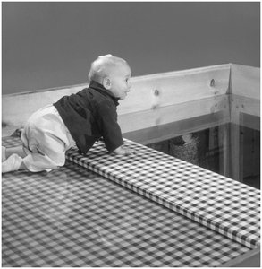 Visual Cliff Experiment