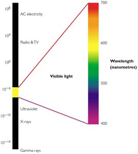 Visible Spectrum as a Subset of the Electromagnetic Spectrum