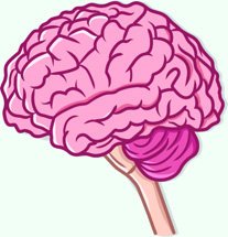 Illustration of brain representing neuroscience