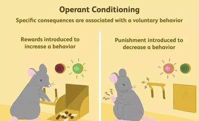 Operant Conditioning: Rewards and Punishments