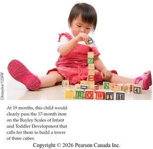 Child building blocks for Bayley Scales