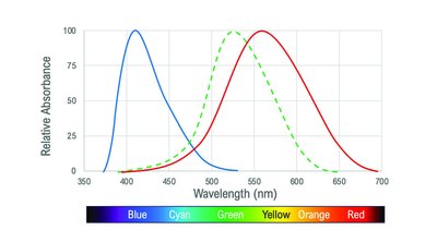 Colorblindness spectrum for deuteranopia