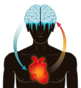 Diagram showing Aristotle's reasoning about the heart and brain