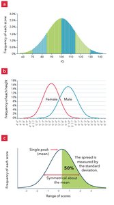 Normal distribution graphs for IQ and height