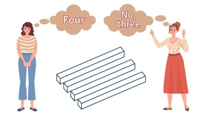 Two observers seeing different perspectives