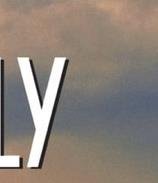 Text 'Free Willy', representing free will