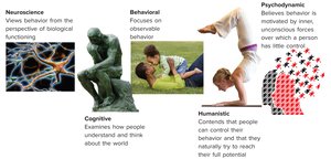 The major perspectives of psychology