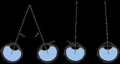 Illustration of eye convergence for depth perception