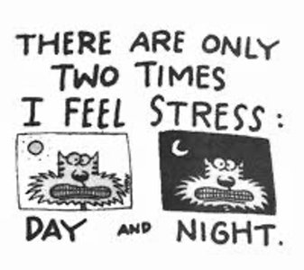 General Adaptation Syndrome stages