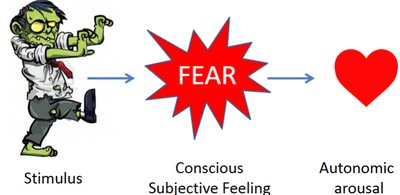 Diagram of common sense approach to fear: stimulus to feeling to arousal