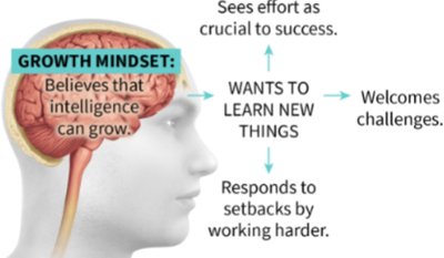 Diagram of growth mindset: welcomes challenges, works harder, sees effort as crucial