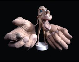 Somatosensory area representation