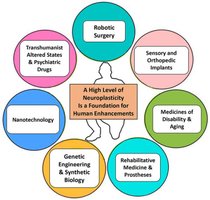 Diagram showing neuroplasticity and brain repair