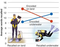 Context-dependent learning graph