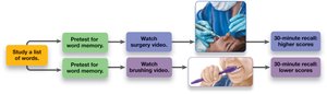 Emotion and memory consolidation diagram