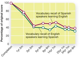 Bahrick's long-term forgetting curve
