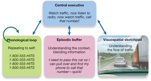 Working Memory Model diagram