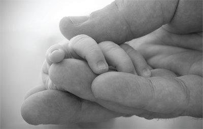 Adult hand holding infant hand, symbolizing care and development across the lifespan