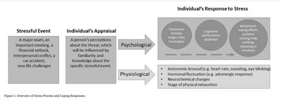 Overview of Stress Process and Coping Responses