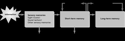 Sensory memory: snapshot of sensory input