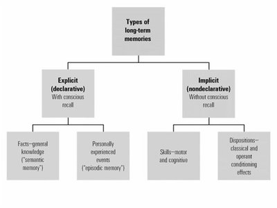 Serial position effect graph
