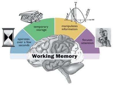 Diagram illustrating the functions of working memory: temporary storage, manipulation of information, focusing attention, and operation over a few seconds.