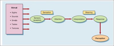 Flowchart of sensation to perception