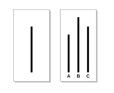Asch's line judgment task: one line on the left, three lines labeled A, B, C on the right