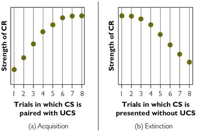 Graphs showing acquisition and extinction in classical conditioning