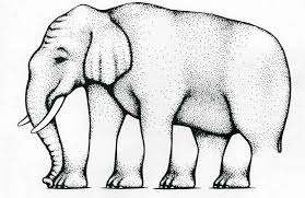 Ambiguous elephant illusion