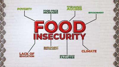 Poverty Rates and Food Insecurity