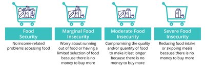 Food Security and Insecurity Definitions