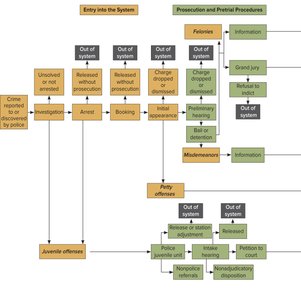 Overview of the Criminal Justice System
