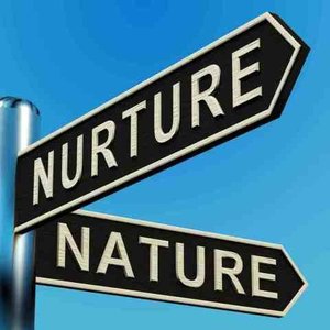 Nature vs. nurture signpost