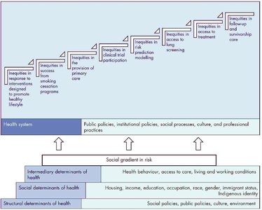 Staircase of inequities in lung cancer care