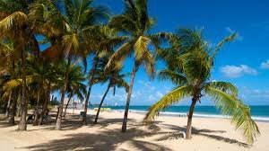 Puerto Rican beach