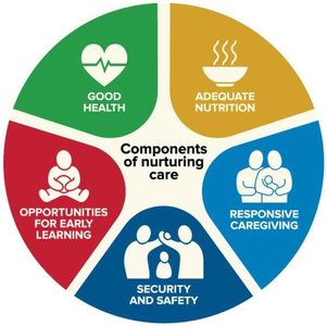 Components of nurturing care: good health, adequate nutrition, responsive caregiving, security and safety, opportunities for early learning