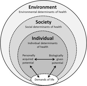 Socio-environmental approach diagram
