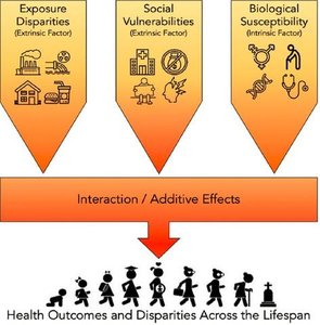 Socio-environmental approach risk factors