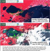 Satellite images showing land use change before and after Hurricane Katrina