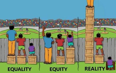Equality vs Equity vs Reality cartoon